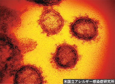 世界を震撼させた新型コロナウィルス
